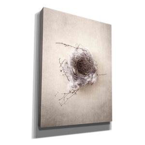'Nest III' by Debra Van Swearingen, Canvas Wall Art,12x16x1.1x0,20x24x1.1x0,26x30x1.74x0,40x54x1.74x0