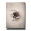 'Nest III' by Debra Van Swearingen, Canvas Wall Art,12x16x1.1x0,20x24x1.1x0,26x30x1.74x0,40x54x1.74x0