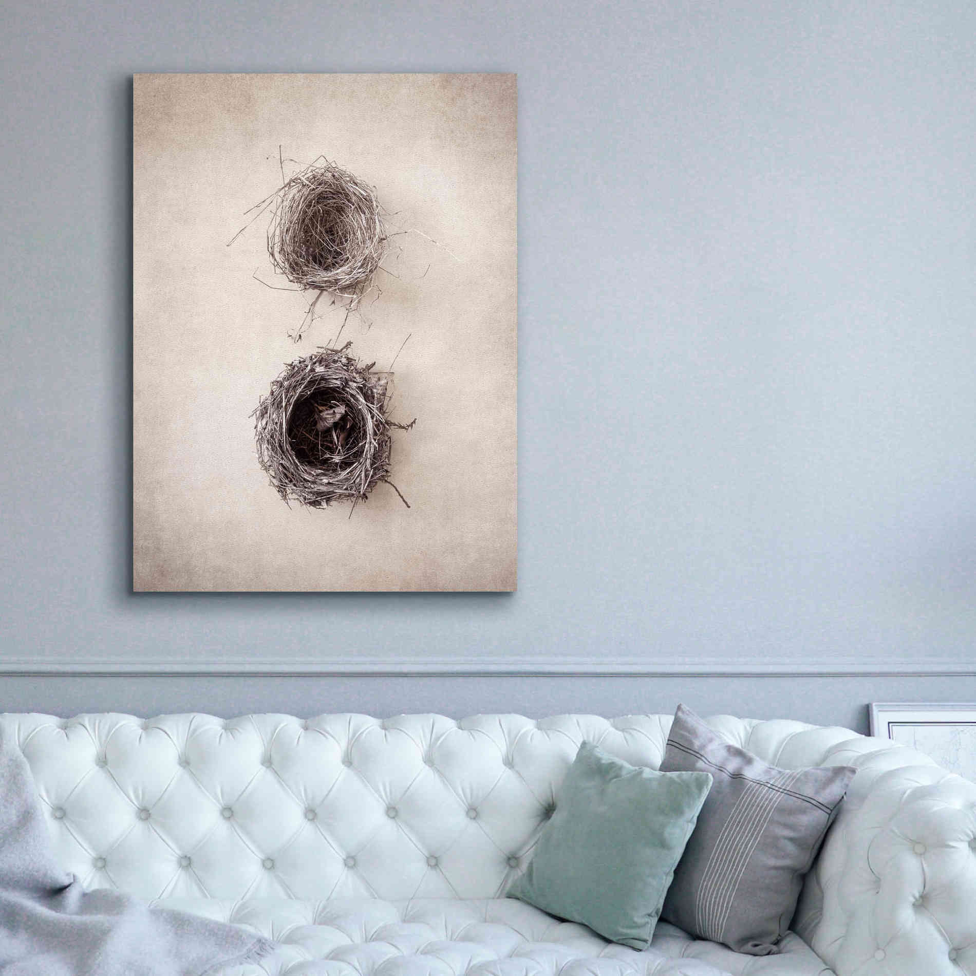 'Nest IV' by Debra Van Swearingen, Canvas Wall Art,40 x 54