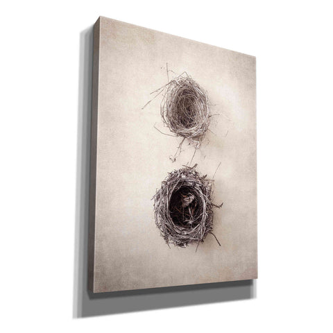 Image of 'Nest IV' by Debra Van Swearingen, Canvas Wall Art,12x16x1.1x0,20x24x1.1x0,26x30x1.74x0,40x54x1.74x0