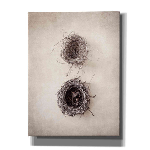 Image of 'Nest IV' by Debra Van Swearingen, Canvas Wall Art,12x16x1.1x0,20x24x1.1x0,26x30x1.74x0,40x54x1.74x0