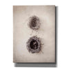 'Nest IV' by Debra Van Swearingen, Canvas Wall Art,12x16x1.1x0,20x24x1.1x0,26x30x1.74x0,40x54x1.74x0