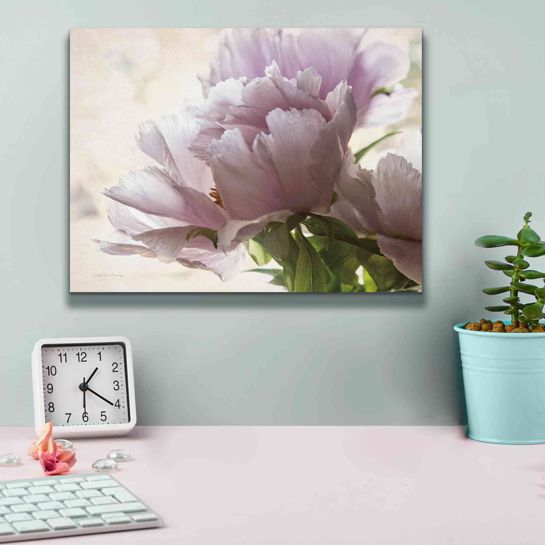 'Translucent Peony I' by Debra Van Swearingen, Canvas Wall Art,16 x 12