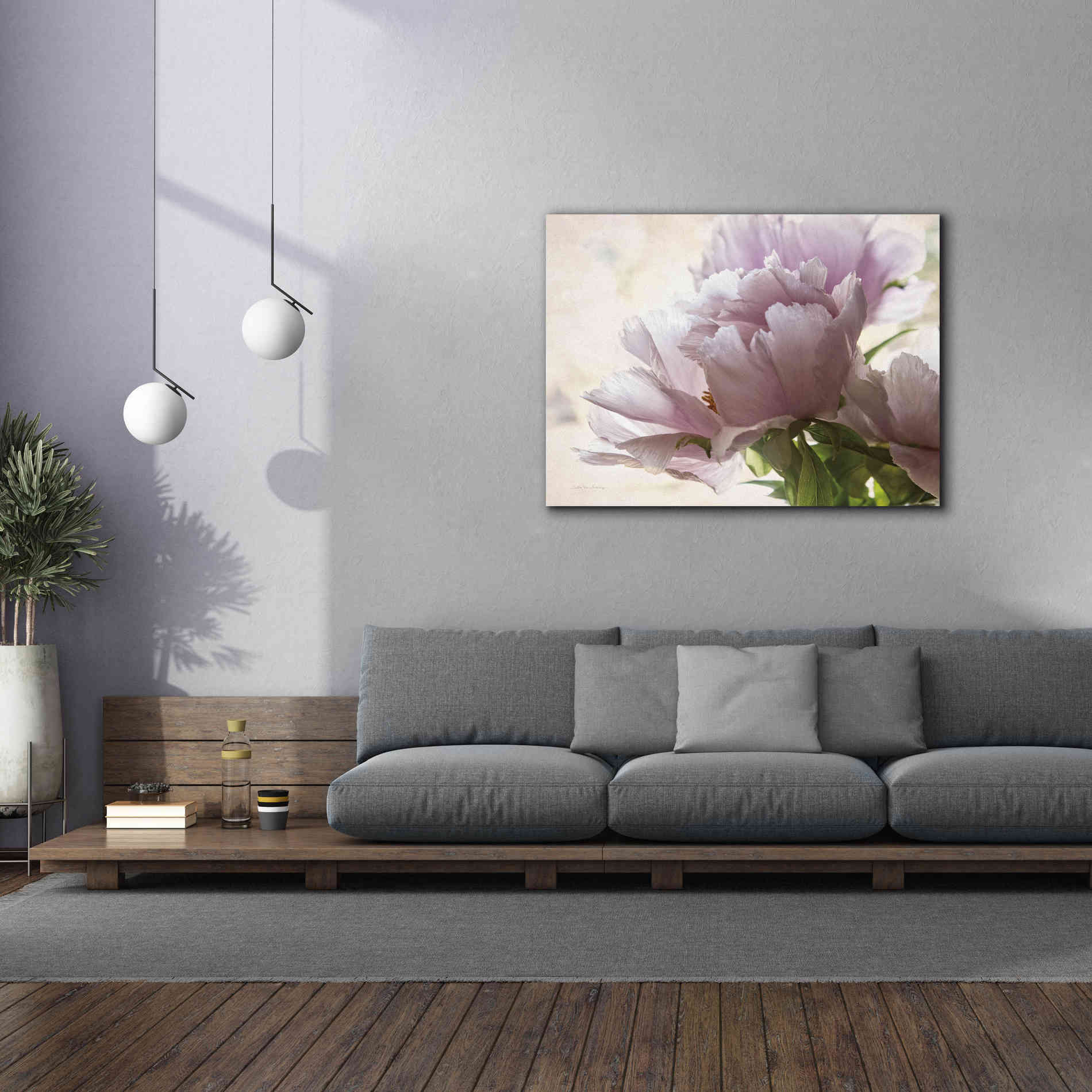 'Translucent Peony I' by Debra Van Swearingen, Canvas Wall Art,54 x 40