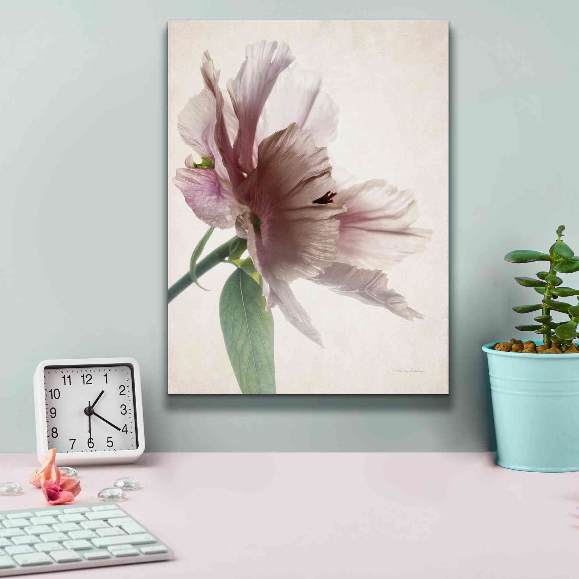 'Translucent Peony II' by Debra Van Swearingen, Canvas Wall Art,12 x 16