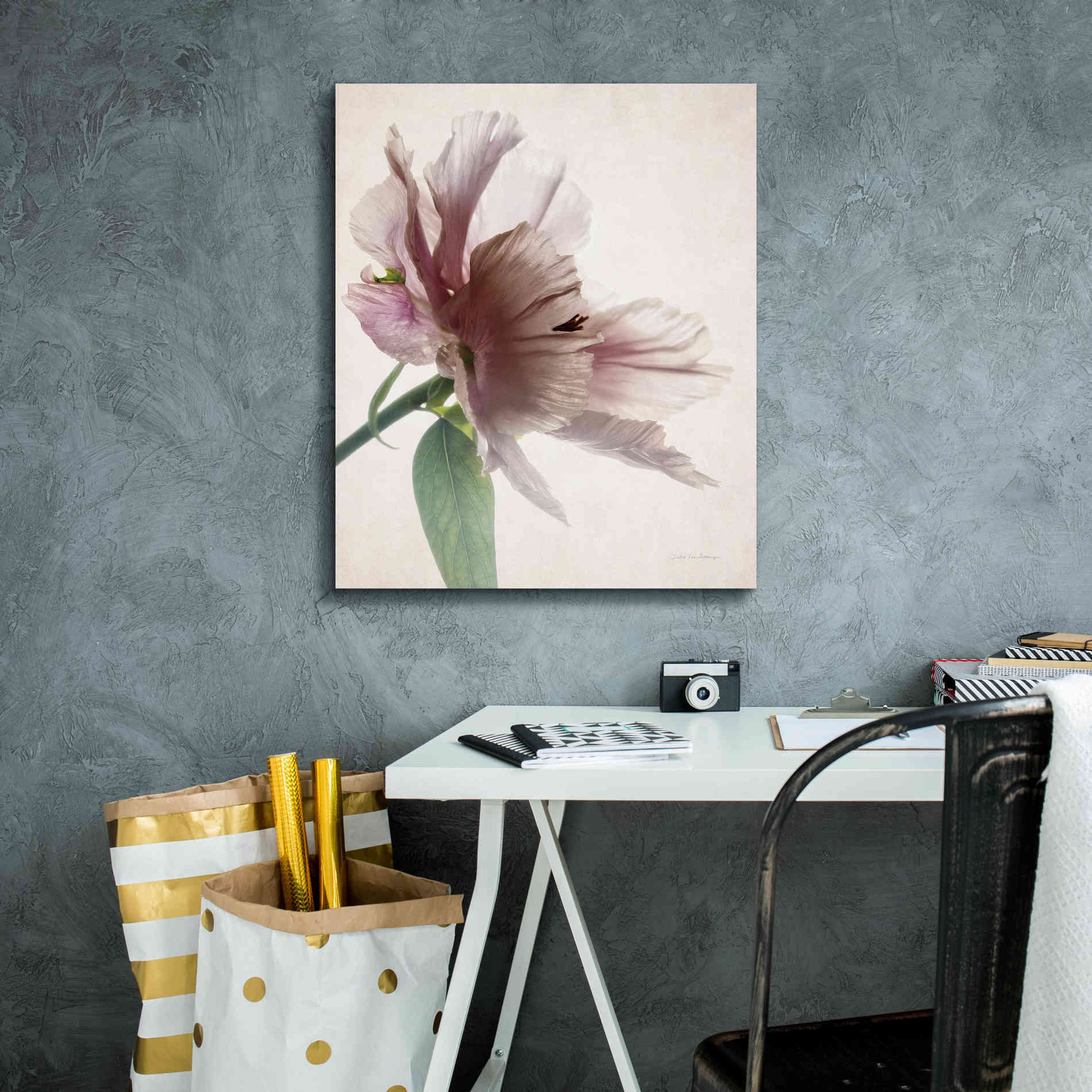 'Translucent Peony II' by Debra Van Swearingen, Canvas Wall Art,20 x 24
