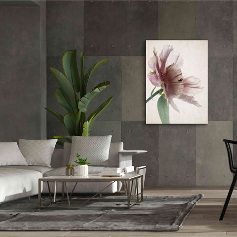 Image of 'Translucent Peony II' by Debra Van Swearingen, Canvas Wall Art,40 x 54