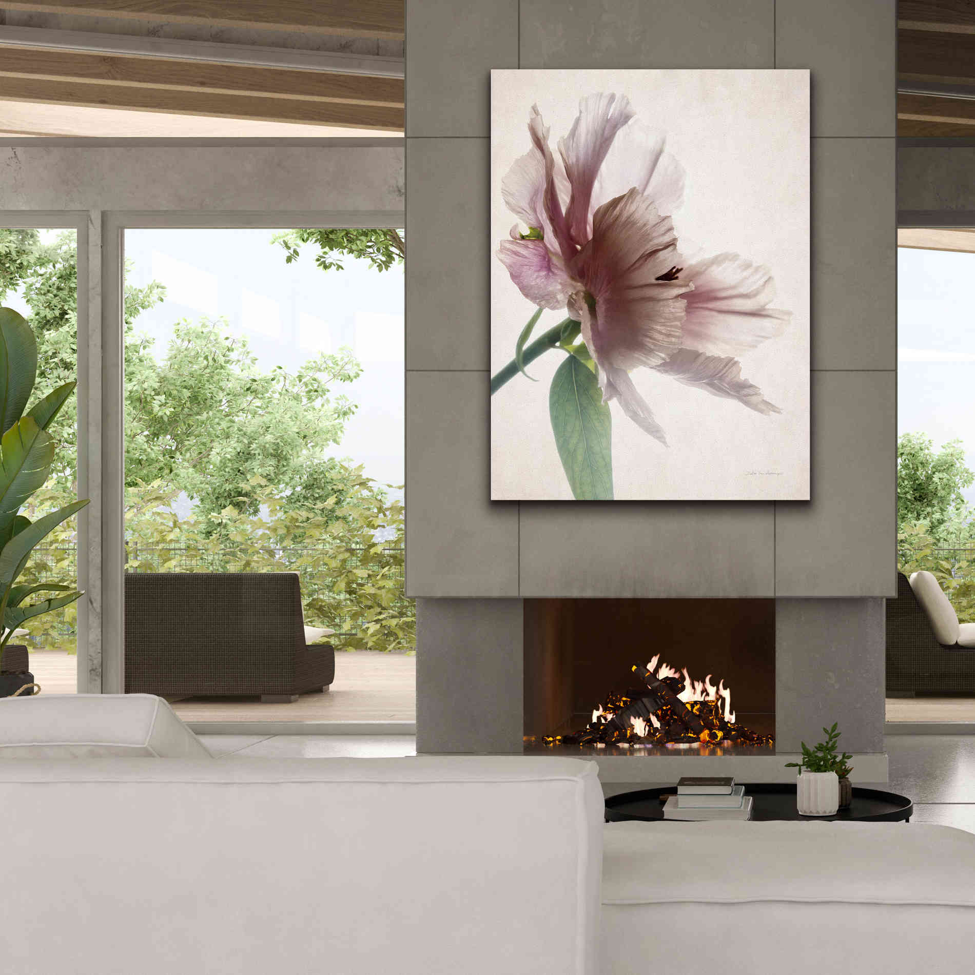 'Translucent Peony II' by Debra Van Swearingen, Canvas Wall Art,40 x 54