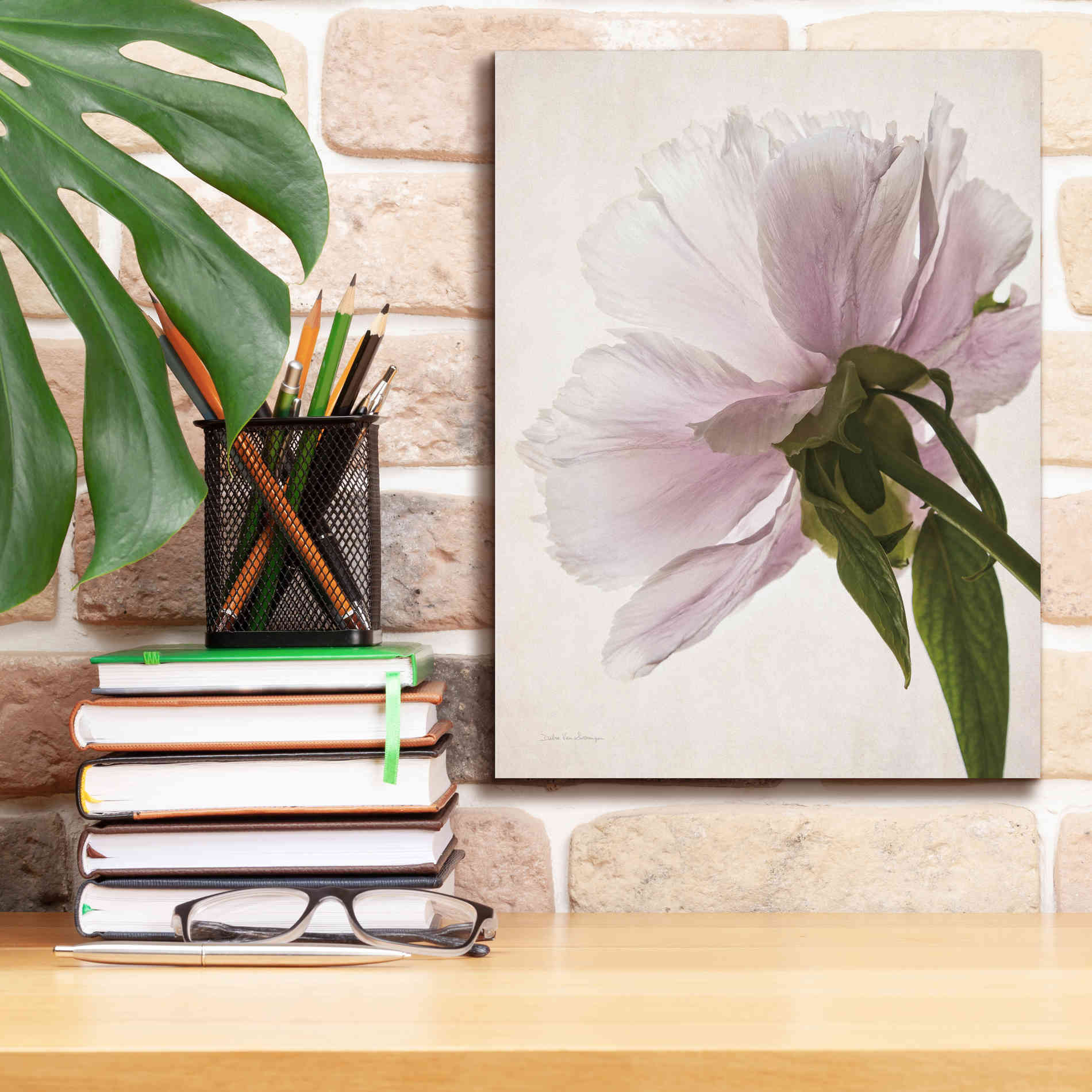 'Translucent Peony III' by Debra Van Swearingen, Canvas Wall Art,12 x 16