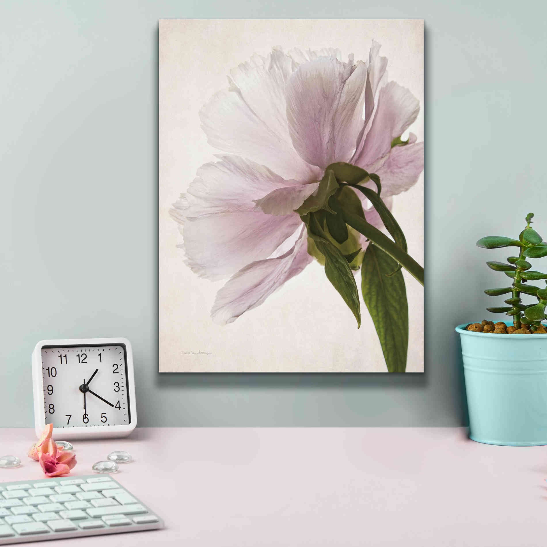 'Translucent Peony III' by Debra Van Swearingen, Canvas Wall Art,12 x 16