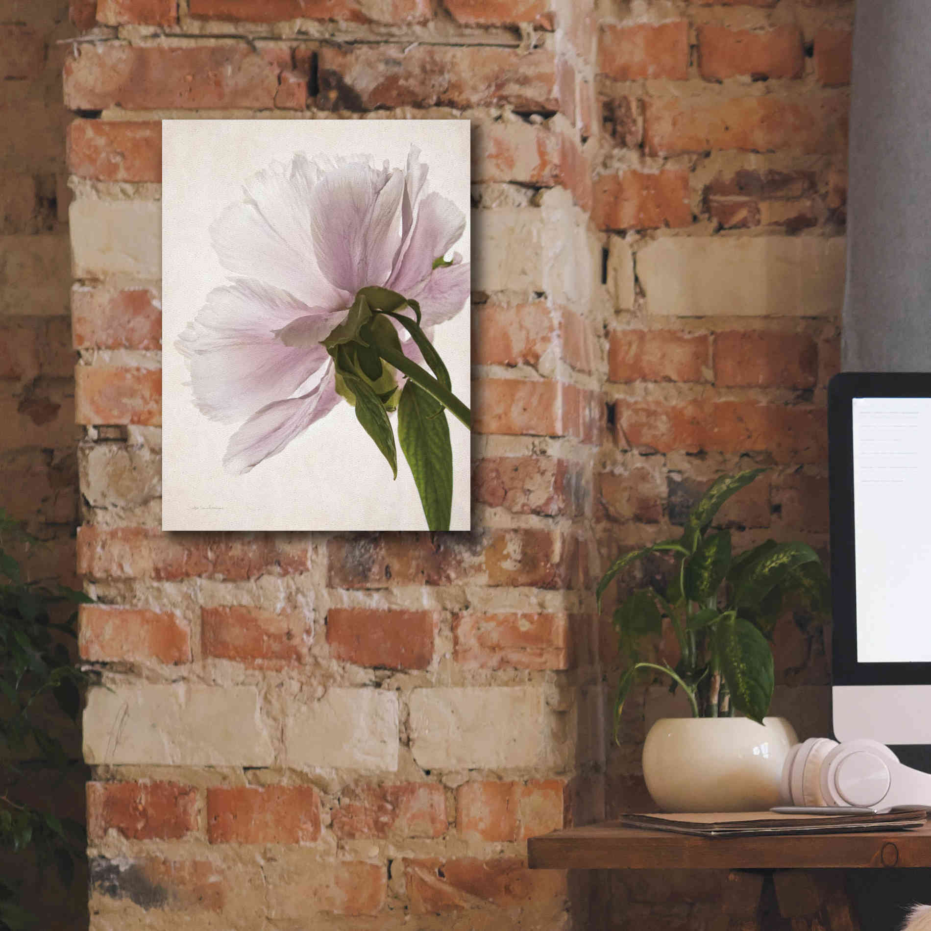 'Translucent Peony III' by Debra Van Swearingen, Canvas Wall Art,12 x 16