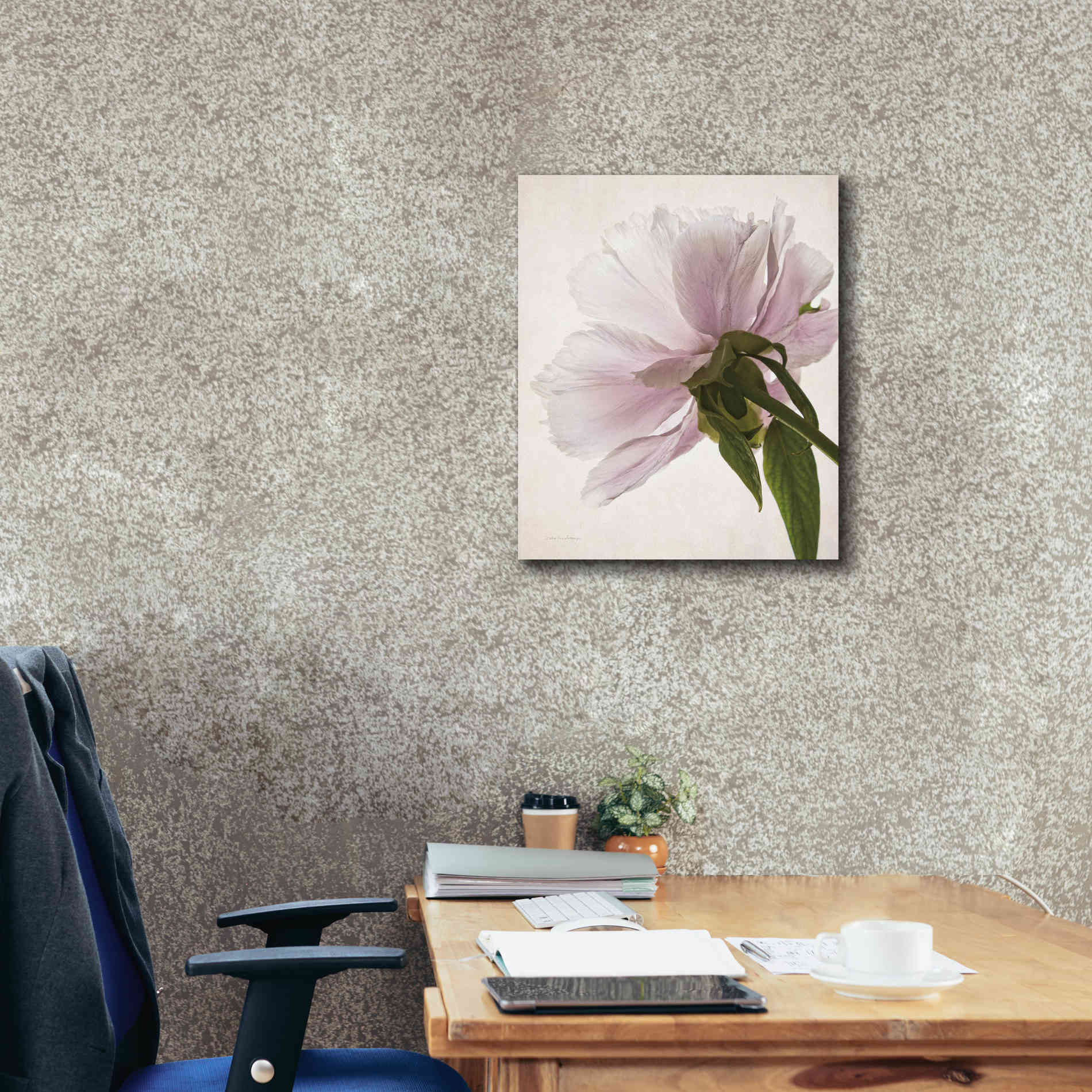 'Translucent Peony III' by Debra Van Swearingen, Canvas Wall Art,20 x 24