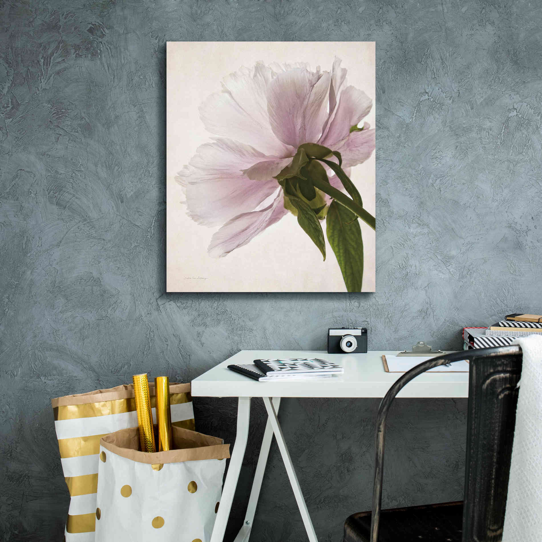 'Translucent Peony III' by Debra Van Swearingen, Canvas Wall Art,20 x 24