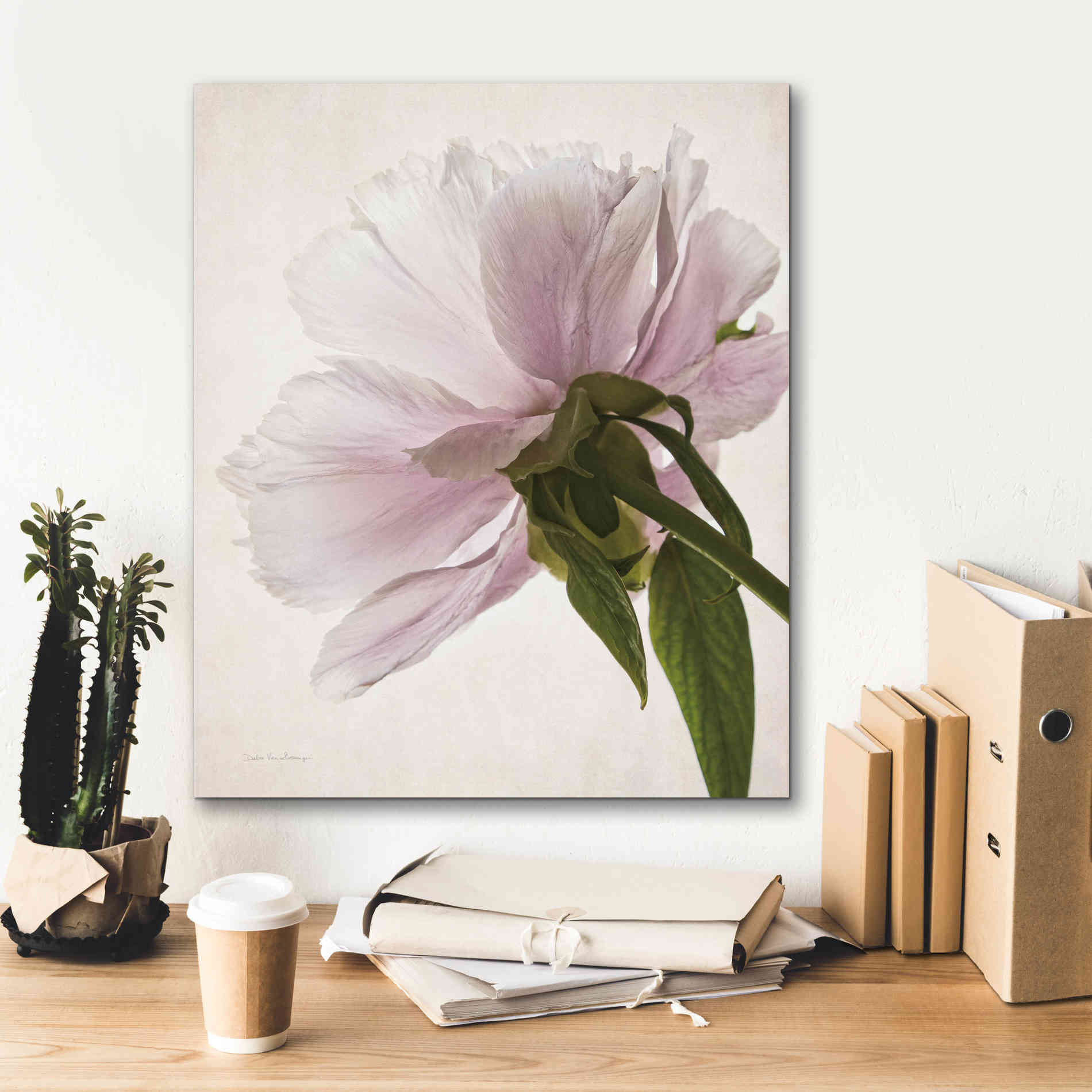 'Translucent Peony III' by Debra Van Swearingen, Canvas Wall Art,20 x 24