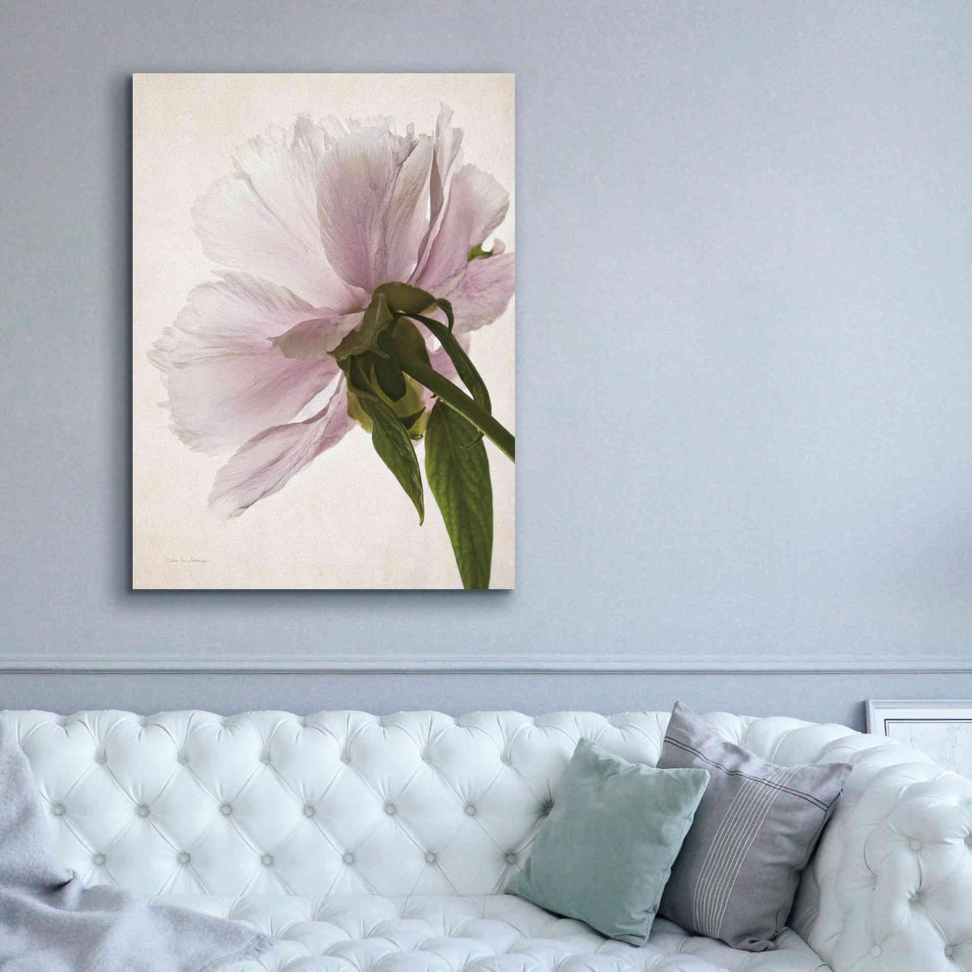 'Translucent Peony III' by Debra Van Swearingen, Canvas Wall Art,40 x 54