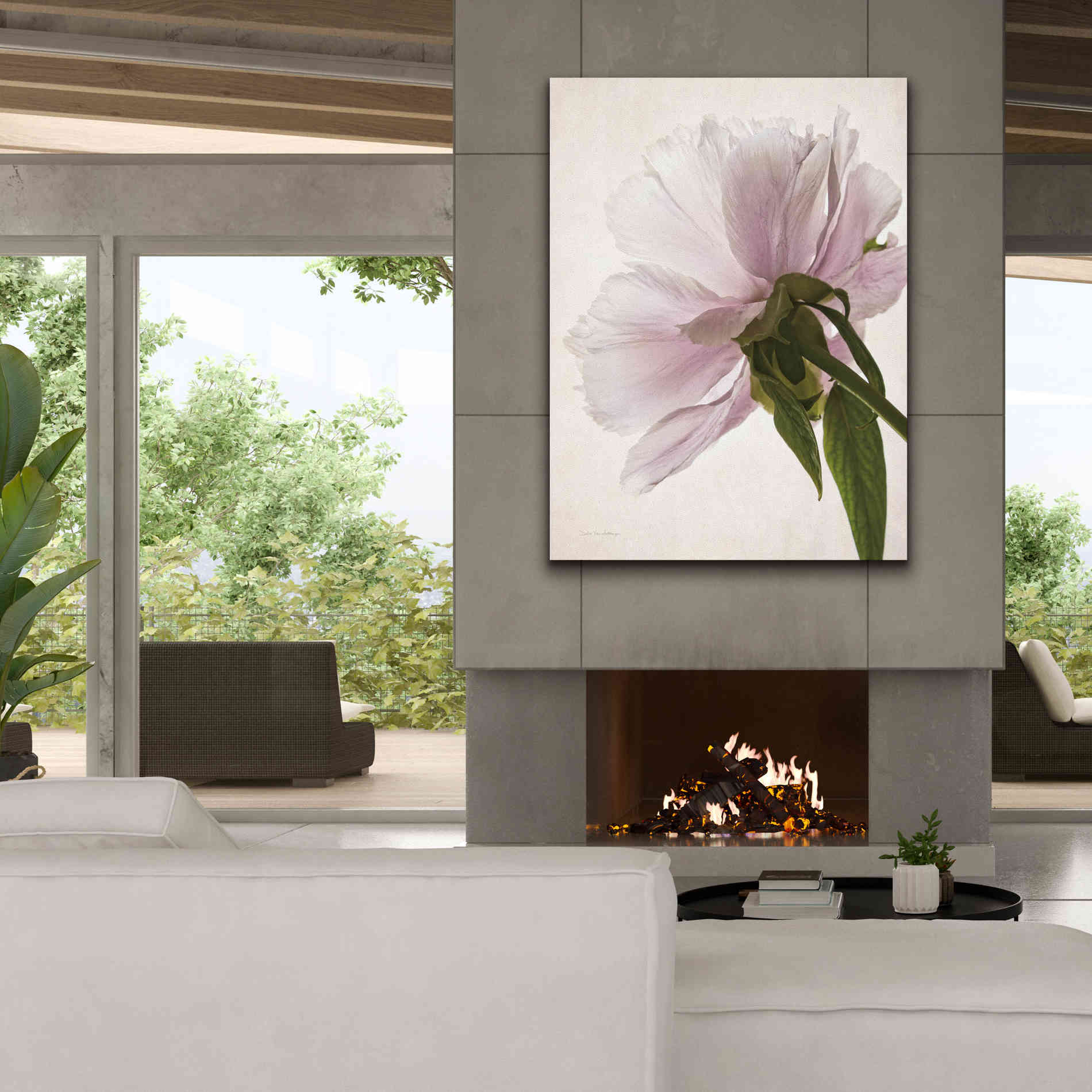 'Translucent Peony III' by Debra Van Swearingen, Canvas Wall Art,40 x 54