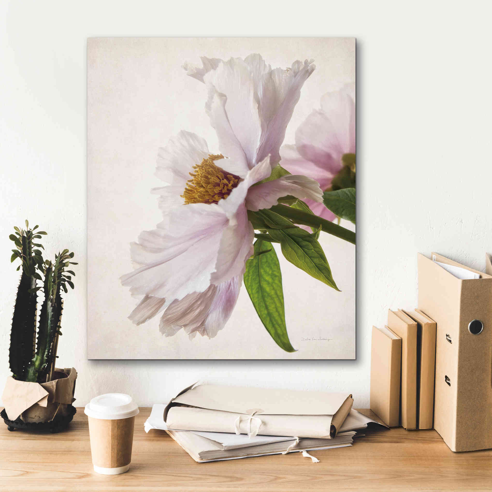 'Translucent Peony IV' by Debra Van Swearingen, Canvas Wall Art,20 x 24