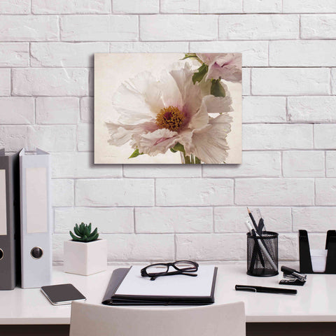 Image of 'Translucent Peony V' by Debra Van Swearingen, Canvas Wall Art,16 x 12