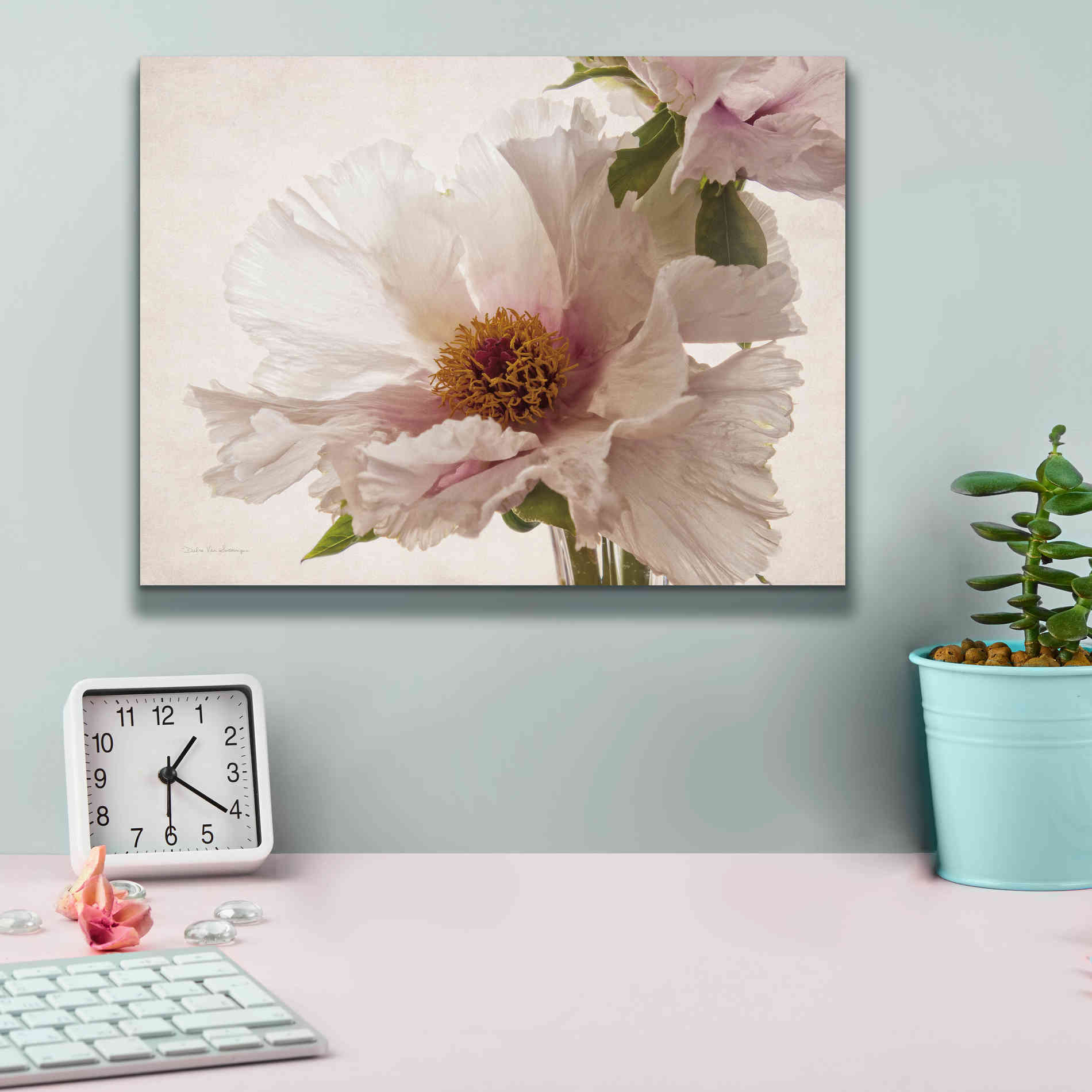 'Translucent Peony V' by Debra Van Swearingen, Canvas Wall Art,16 x 12