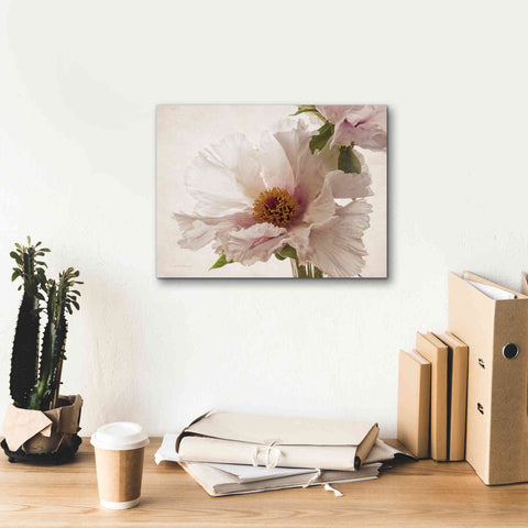 Image of 'Translucent Peony V' by Debra Van Swearingen, Canvas Wall Art,16 x 12