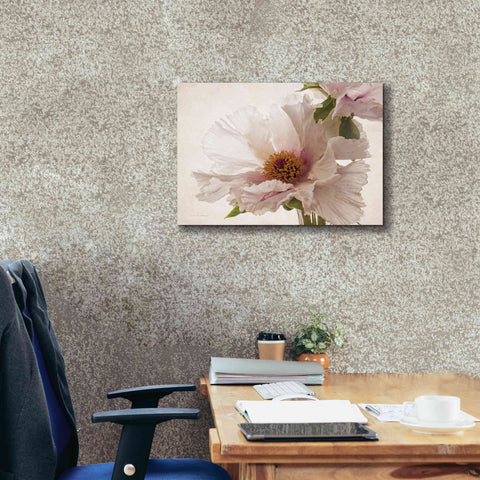 Image of 'Translucent Peony V' by Debra Van Swearingen, Canvas Wall Art,24 x 20