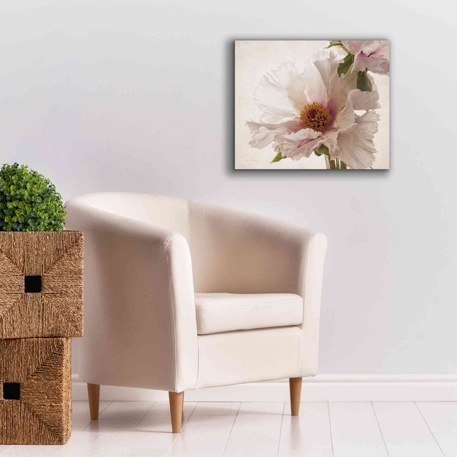 'Translucent Peony V' by Debra Van Swearingen, Canvas Wall Art,24 x 20