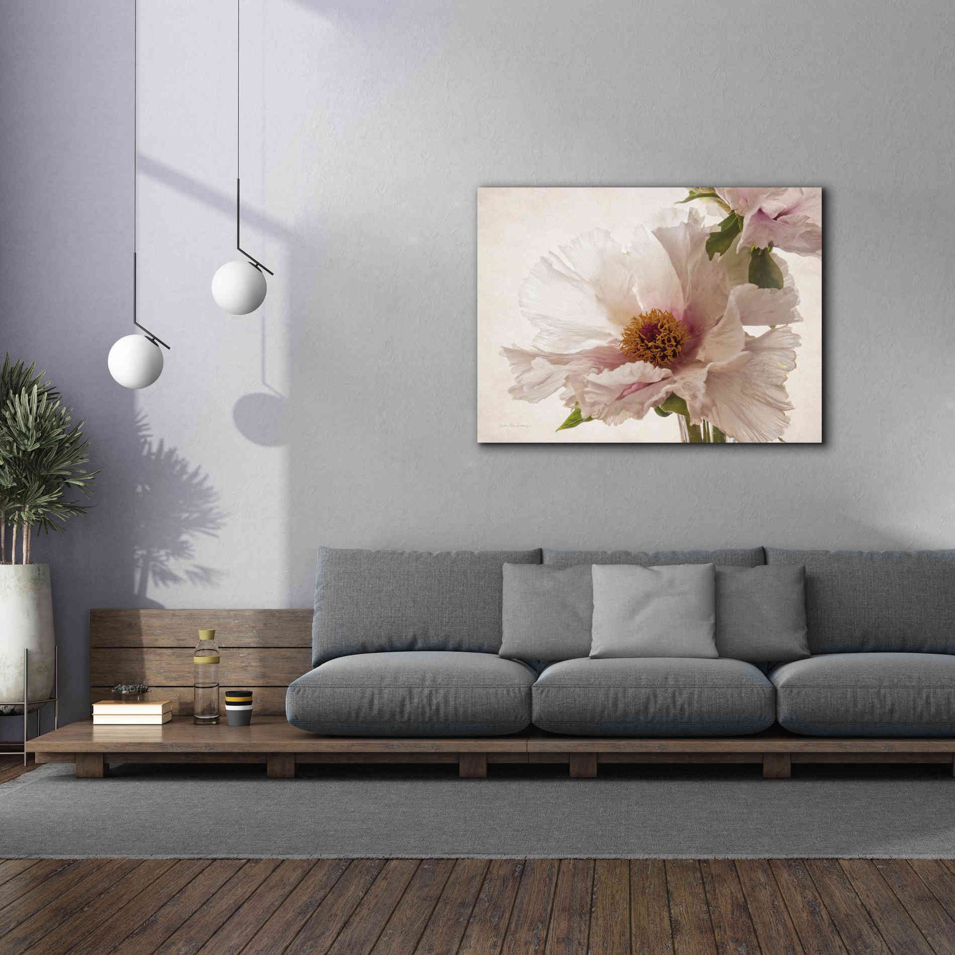 'Translucent Peony V' by Debra Van Swearingen, Canvas Wall Art,54 x 40