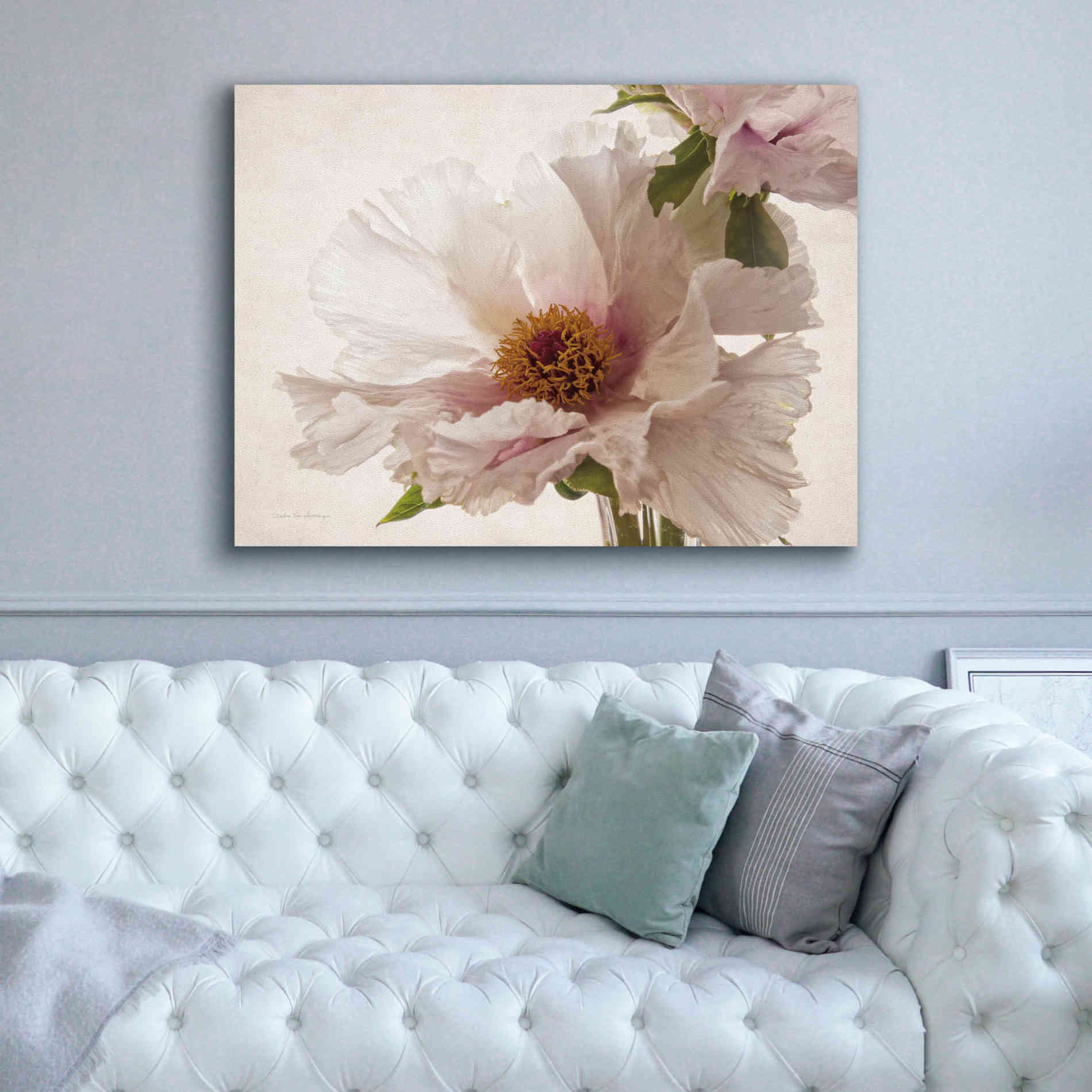 'Translucent Peony V' by Debra Van Swearingen, Canvas Wall Art,54 x 40