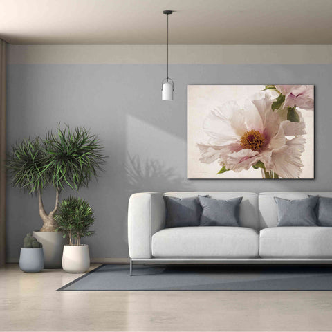 Image of 'Translucent Peony V' by Debra Van Swearingen, Canvas Wall Art,54 x 40