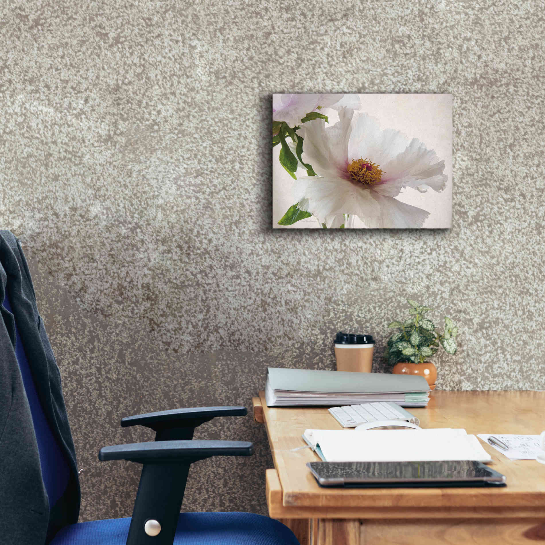 'Translucent Peony VI' by Debra Van Swearingen, Canvas Wall Art,16 x 12