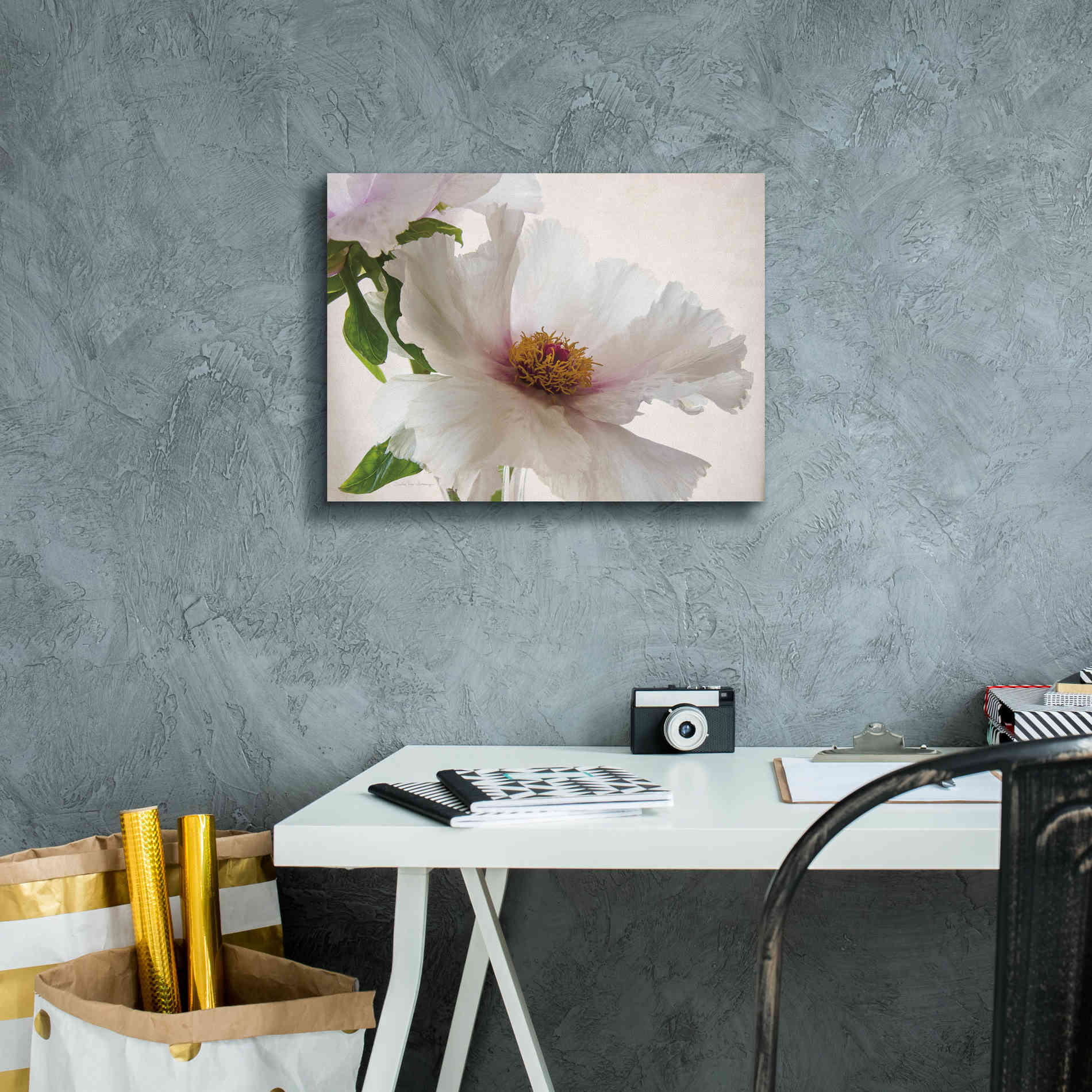 'Translucent Peony VI' by Debra Van Swearingen, Canvas Wall Art,16 x 12