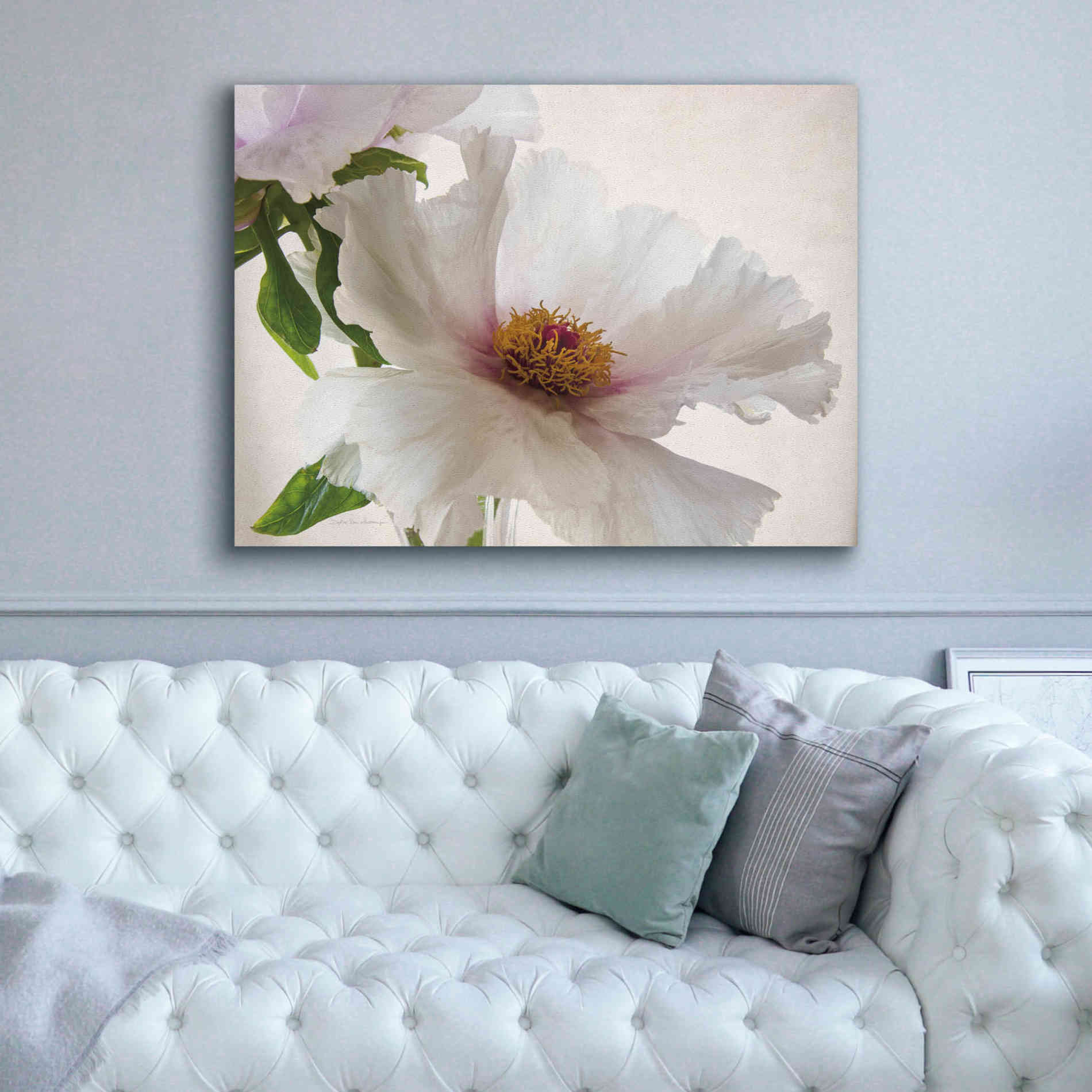 'Translucent Peony VI' by Debra Van Swearingen, Canvas Wall Art,54 x 40