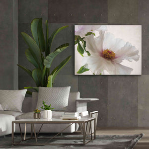 'Translucent Peony VI' by Debra Van Swearingen, Canvas Wall Art,54 x 40