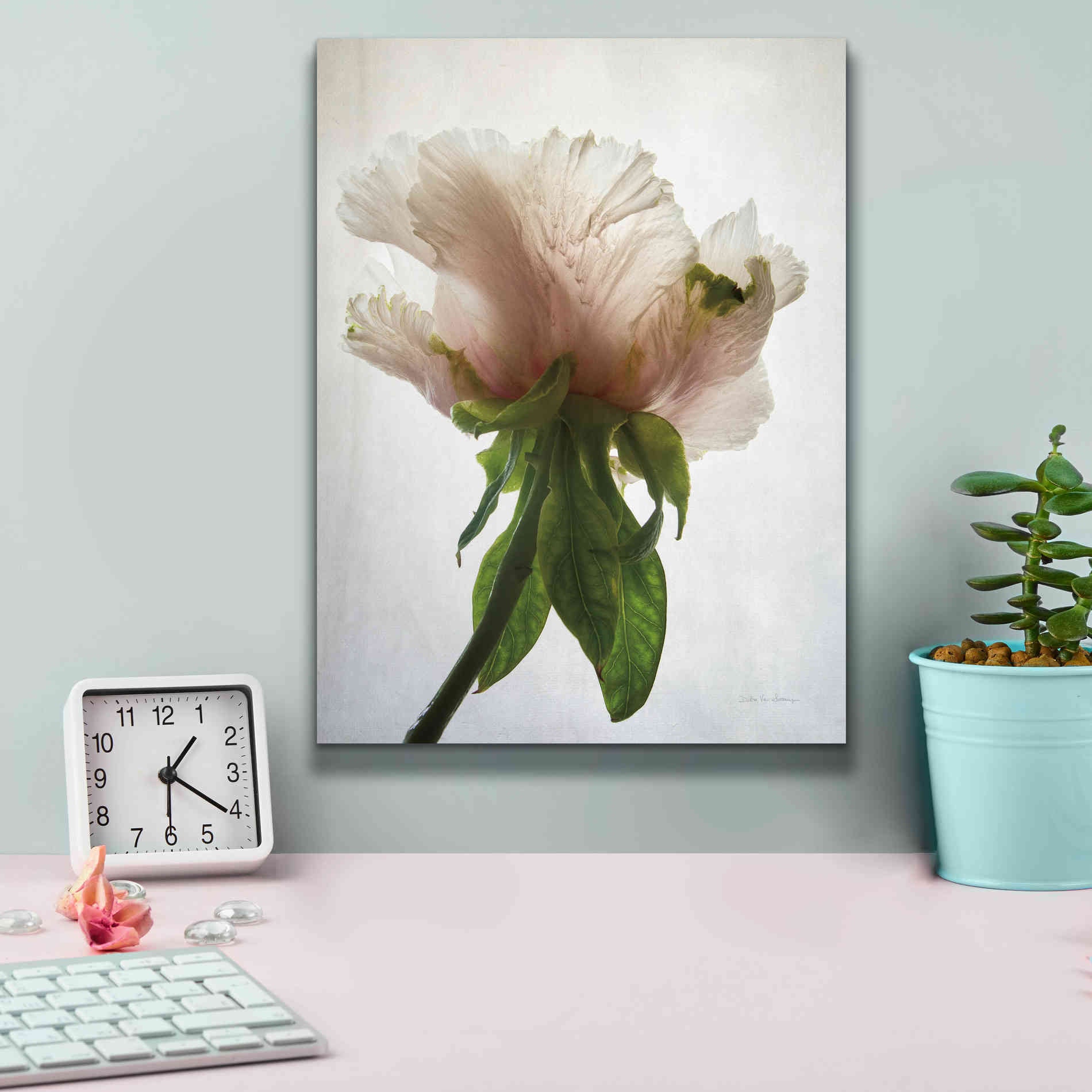 'Translucent Peony VII' by Debra Van Swearingen, Canvas Wall Art,12 x 16
