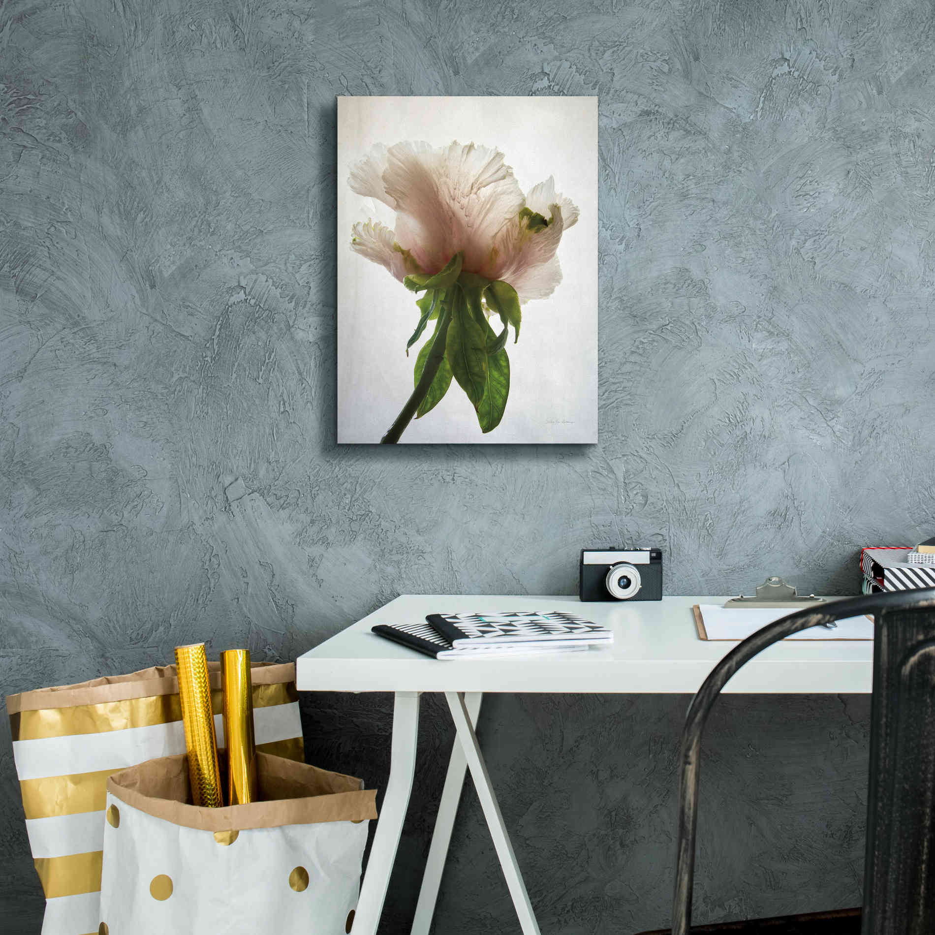 'Translucent Peony VII' by Debra Van Swearingen, Canvas Wall Art,12 x 16