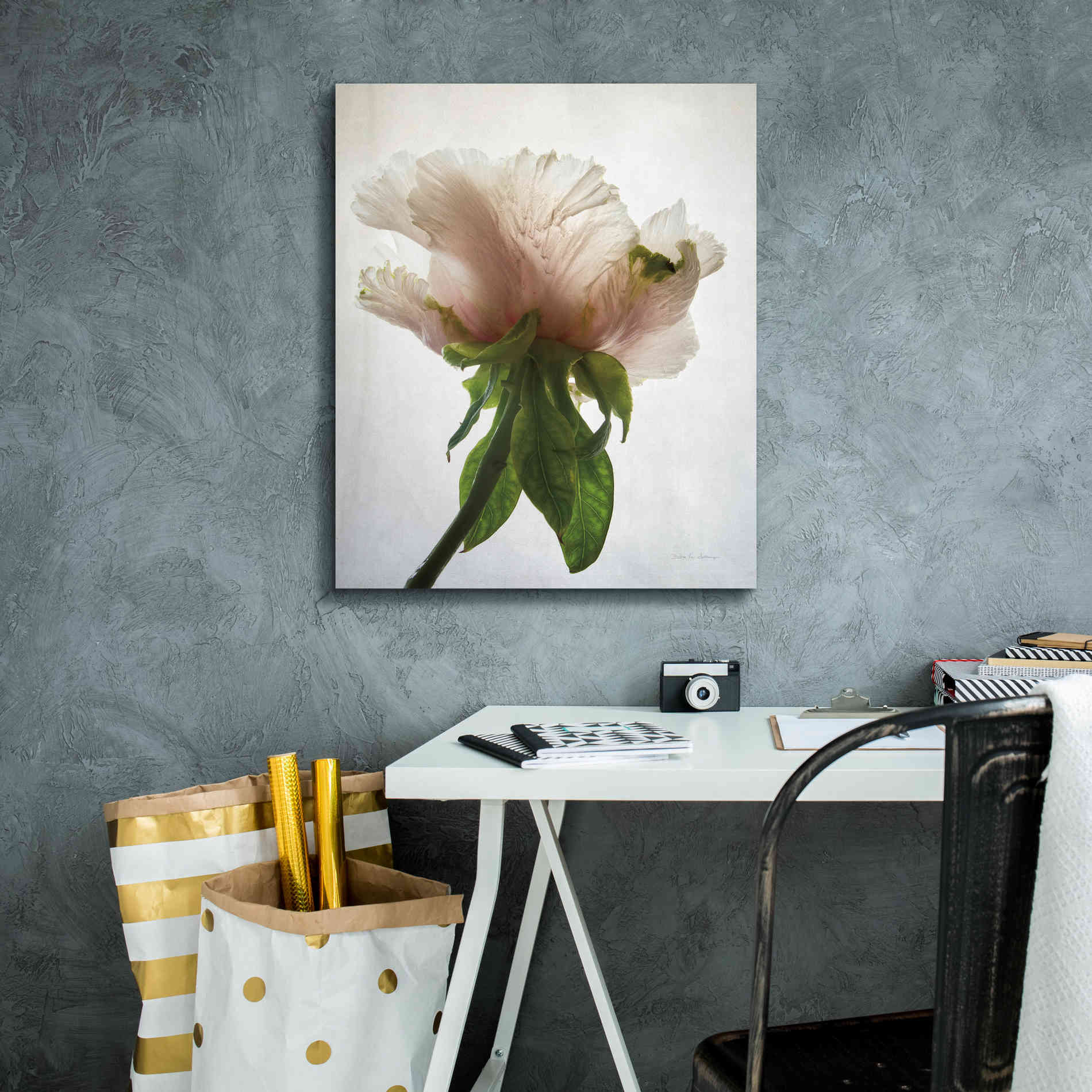 'Translucent Peony VII' by Debra Van Swearingen, Canvas Wall Art,20 x 24