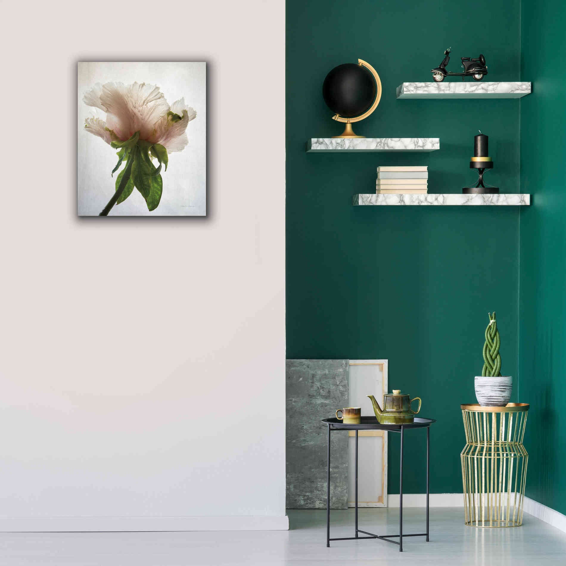 'Translucent Peony VII' by Debra Van Swearingen, Canvas Wall Art,20 x 24