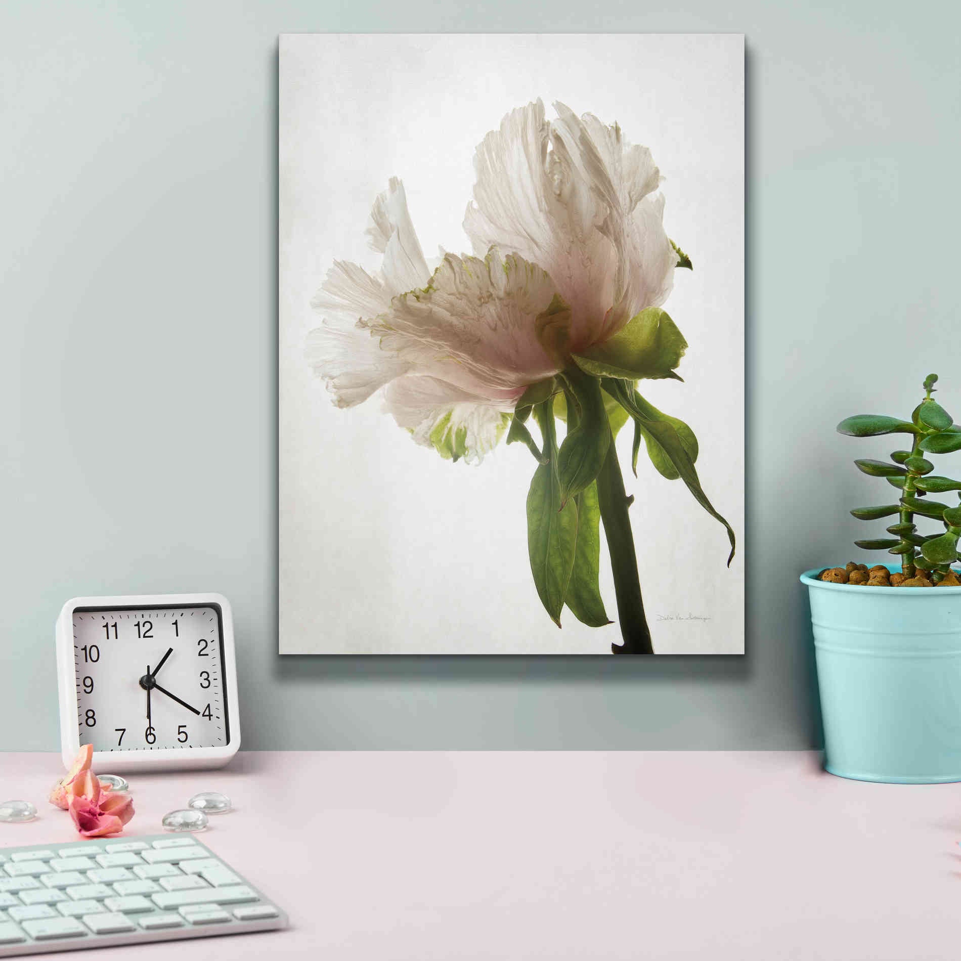 'Translucent Peony VIII' by Debra Van Swearingen, Canvas Wall Art,12 x 16