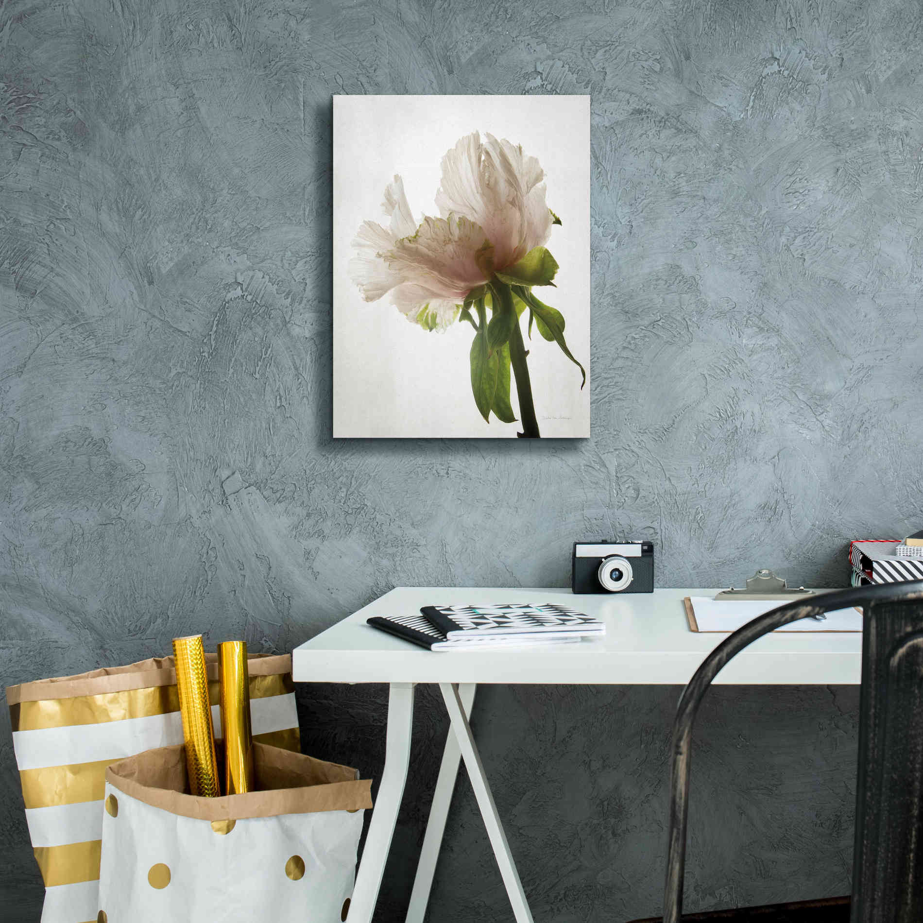 'Translucent Peony VIII' by Debra Van Swearingen, Canvas Wall Art,12 x 16