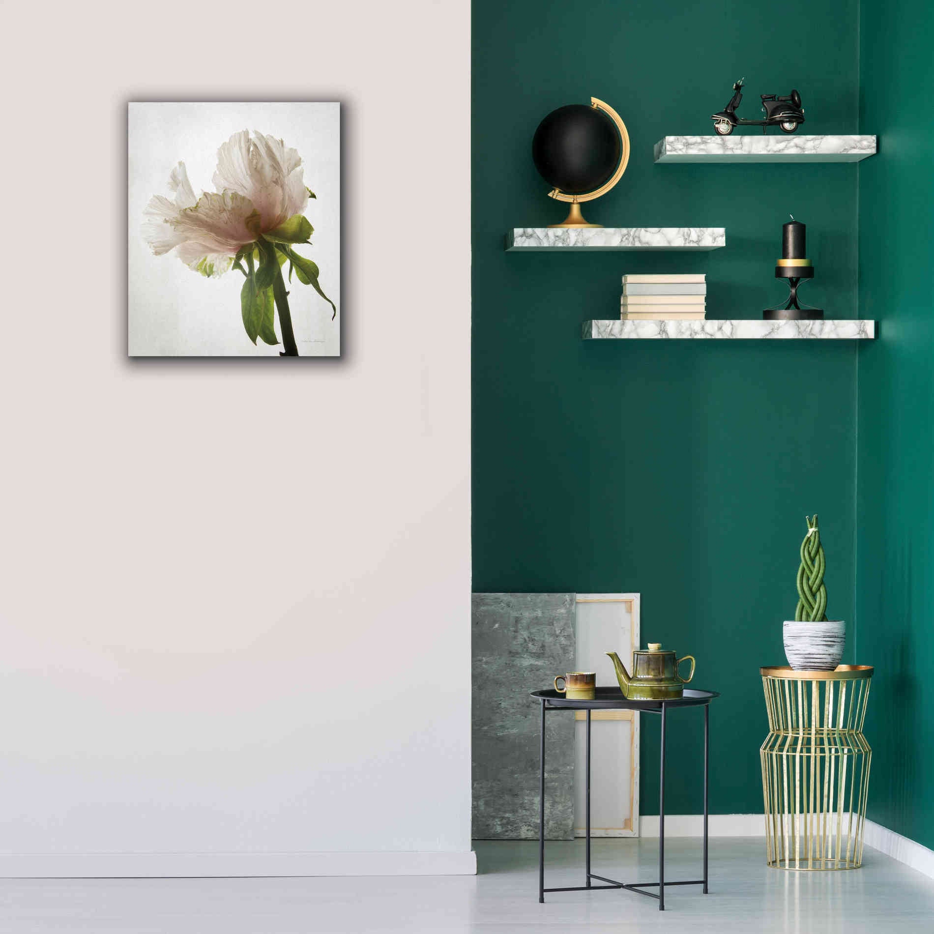 'Translucent Peony VIII' by Debra Van Swearingen, Canvas Wall Art,20 x 24