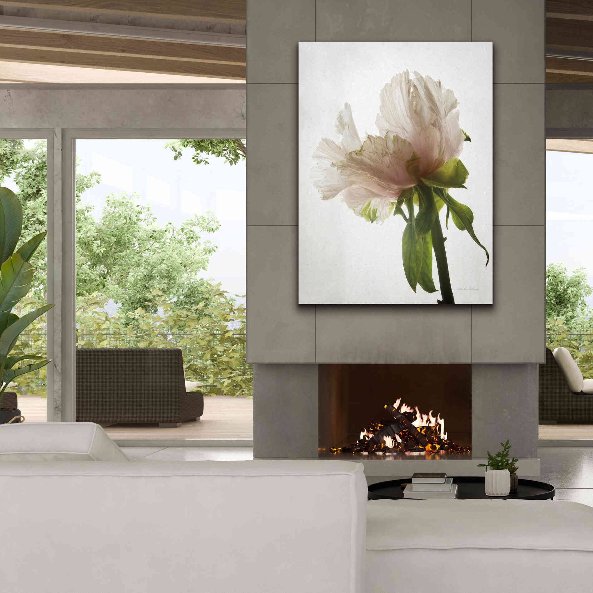 'Translucent Peony VIII' by Debra Van Swearingen, Canvas Wall Art,40 x 54