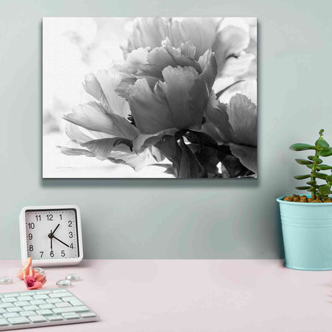Image of 'Translucent Peony IBW' by Debra Van Swearingen, Canvas Wall Art,16 x 12