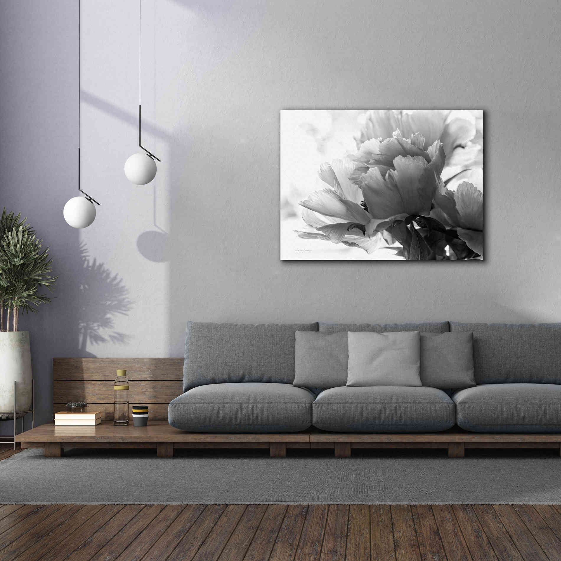 'Translucent Peony IBW' by Debra Van Swearingen, Canvas Wall Art,54 x 40