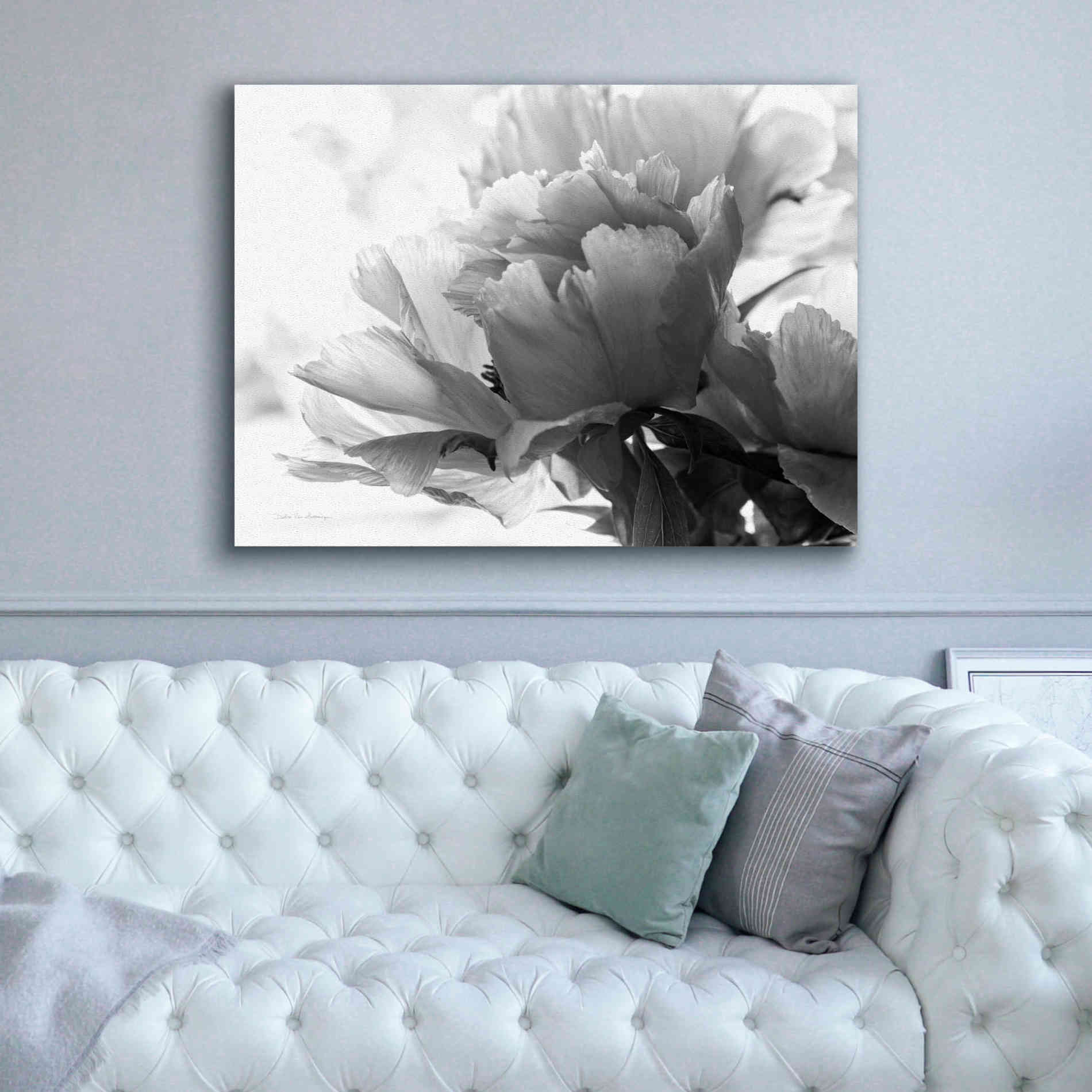 'Translucent Peony IBW' by Debra Van Swearingen, Canvas Wall Art,54 x 40