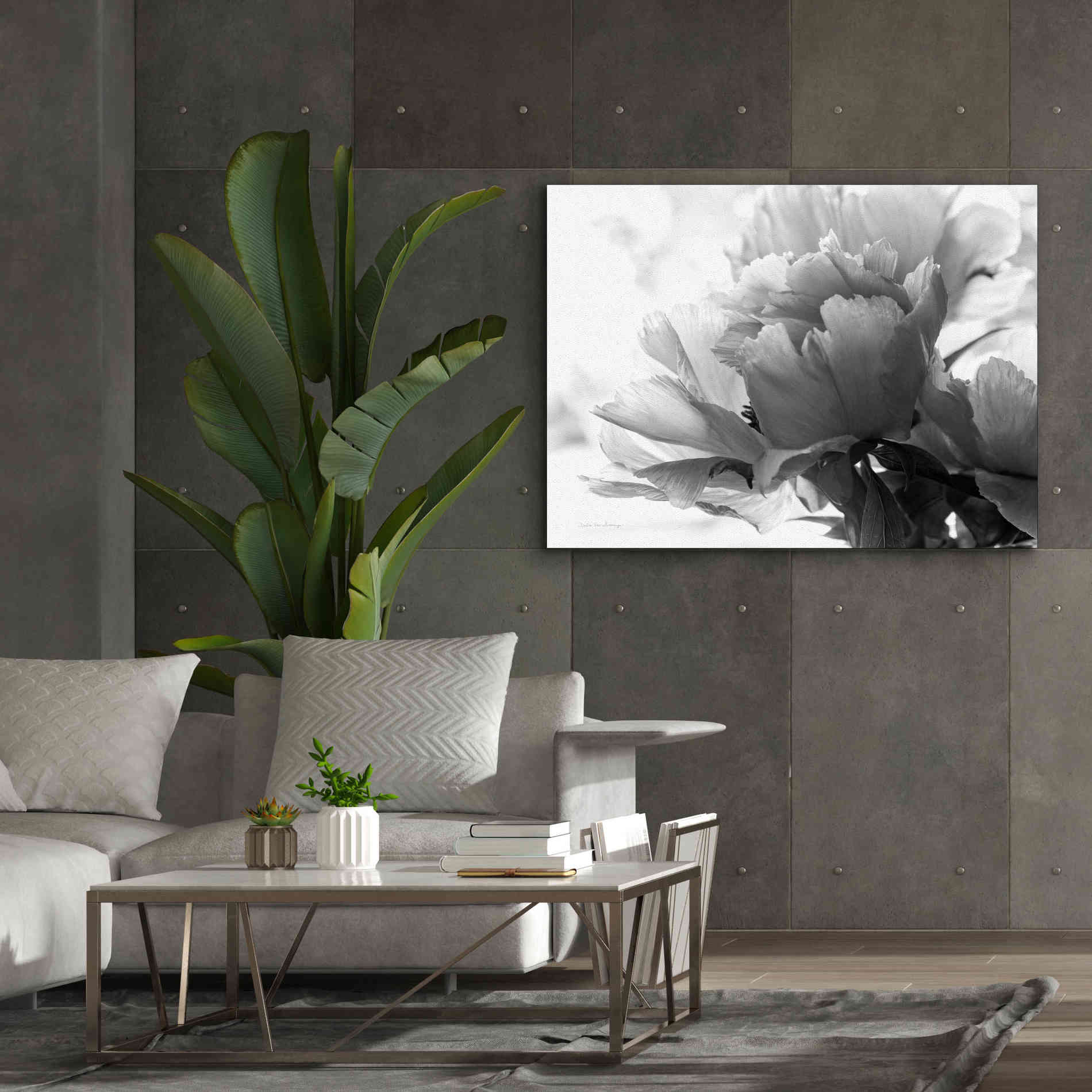 'Translucent Peony IBW' by Debra Van Swearingen, Canvas Wall Art,54 x 40