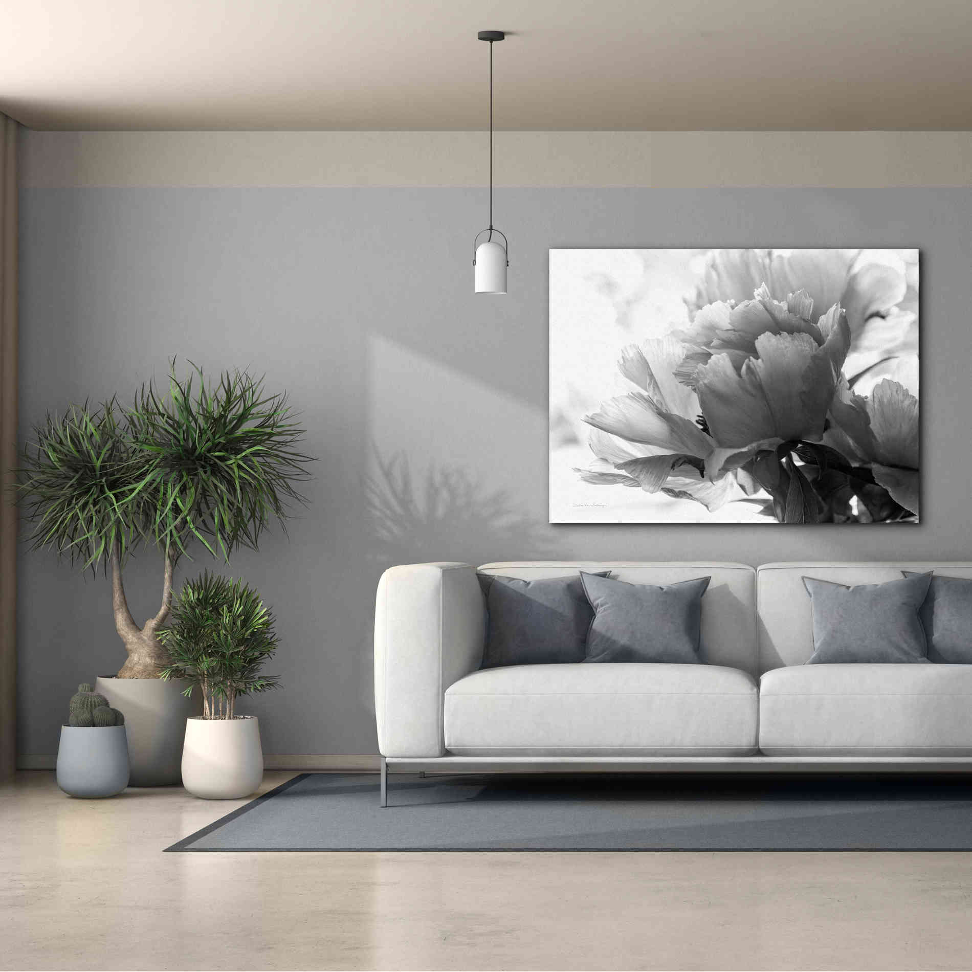 'Translucent Peony IBW' by Debra Van Swearingen, Canvas Wall Art,54 x 40