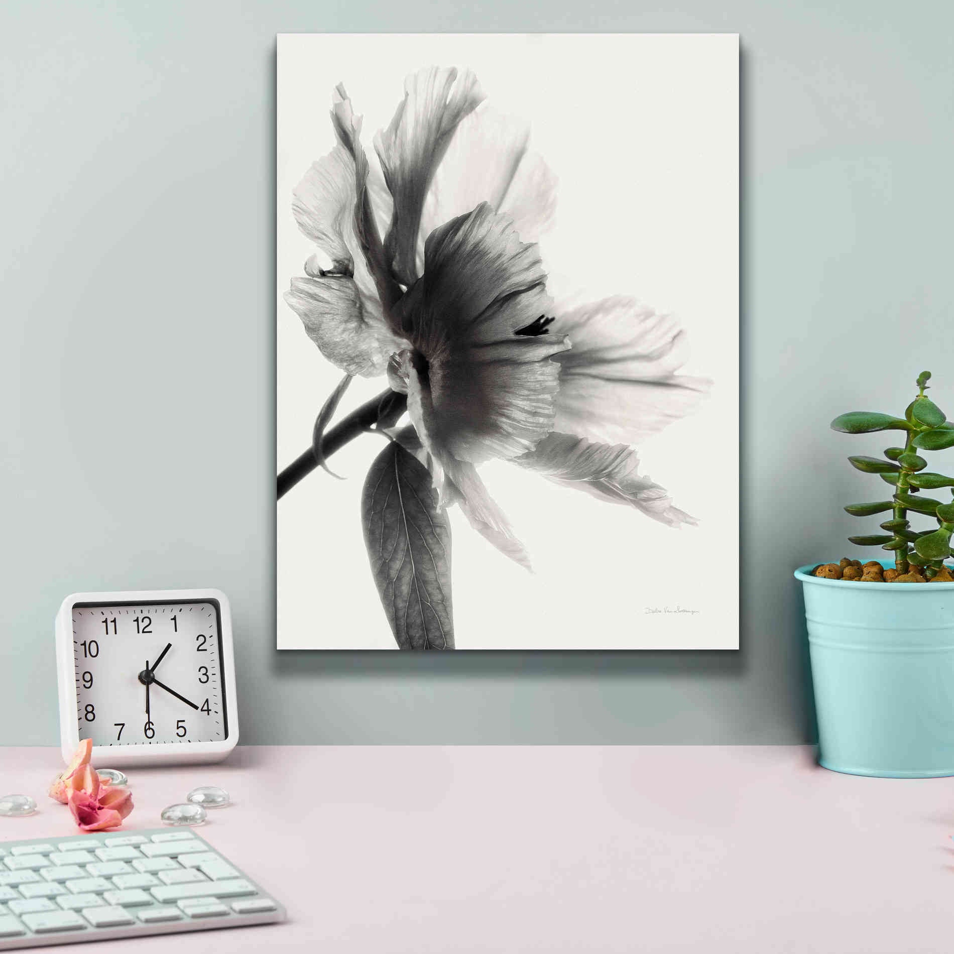 'Translucent Peony IIBW' by Debra Van Swearingen, Canvas Wall Art,12 x 16