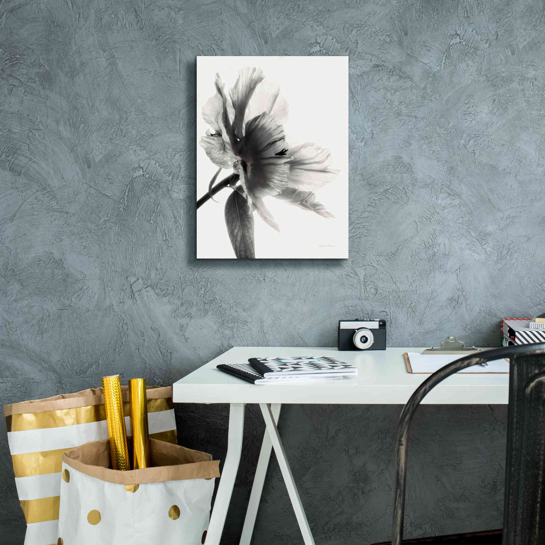 'Translucent Peony IIBW' by Debra Van Swearingen, Canvas Wall Art,12 x 16