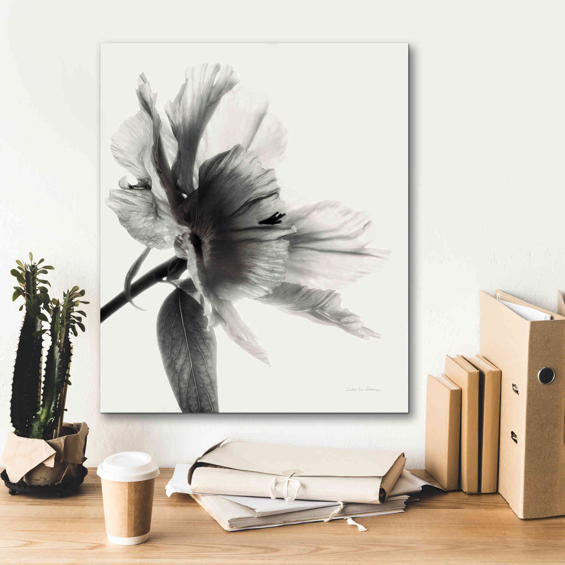 'Translucent Peony IIBW' by Debra Van Swearingen, Canvas Wall Art,20 x 24