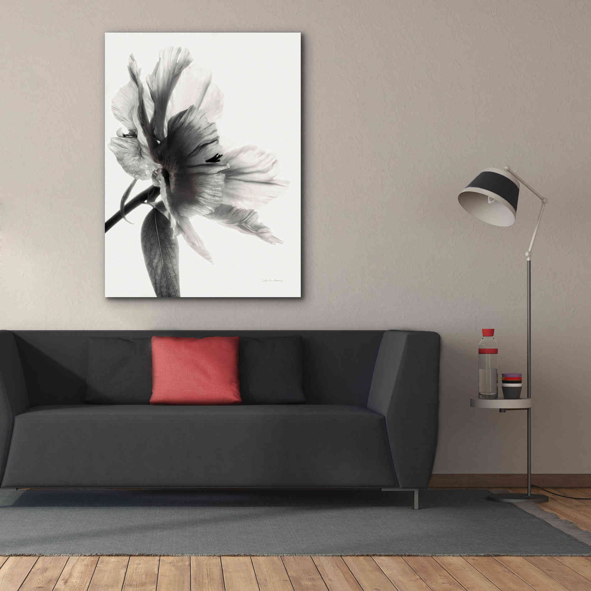'Translucent Peony IIBW' by Debra Van Swearingen, Canvas Wall Art,40 x 54
